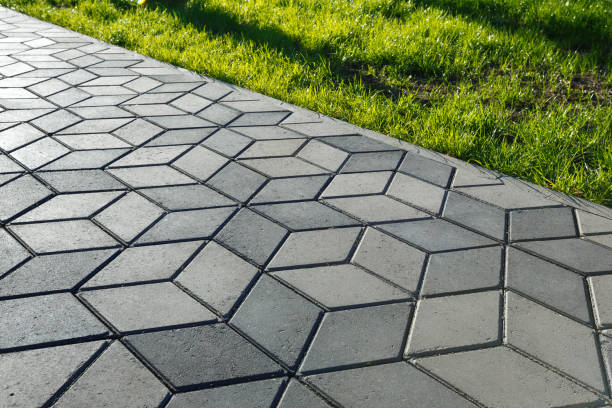 Best Driveway Pavers Near Me  in Alamo, GA