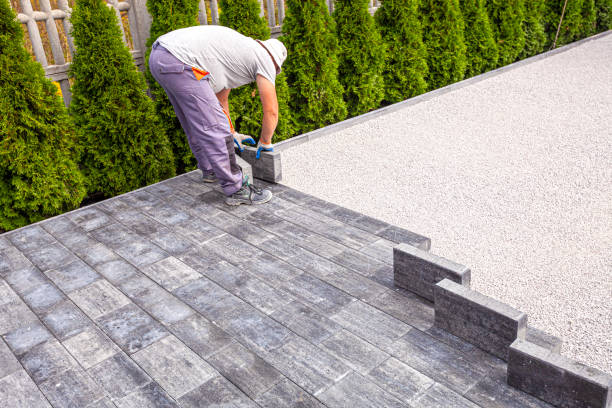 Best Driveway Paving Near Me  in Alamo, GA